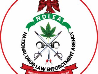 (2026) NDLEA Recruitment: Portal, Application Form PDF, Requirements, and Deadline