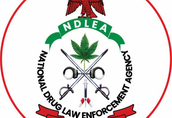 (2026) NDLEA Recruitment: Portal, Application Form PDF, Requirements, and Deadline